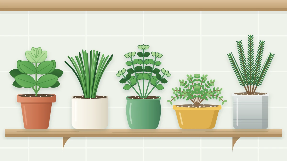 A wooden kitchen shelf holding five potted herbs side by side: basil, chives, mint, thyme and rosemary in different pots