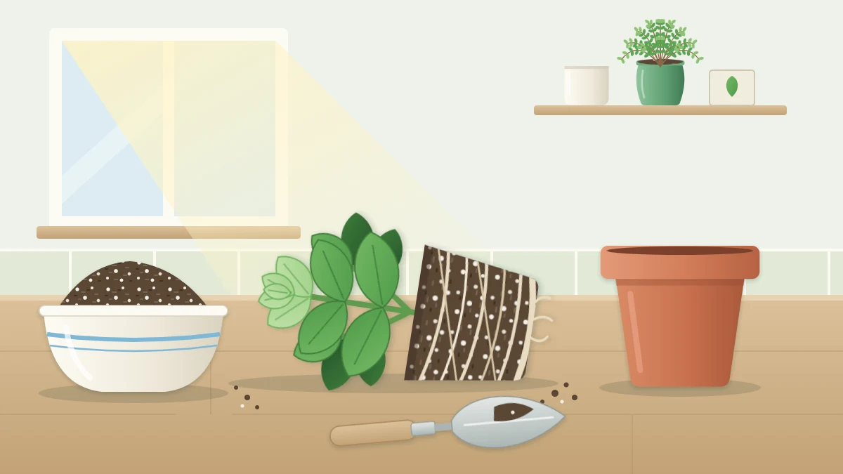 A herb plant lying on its side with its root ball exposed beside a slightly larger empty pot, a bowl of potting mix and a small trowel