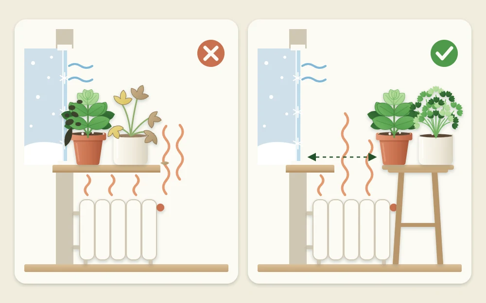 Pots pressed against a frosty pane above a radiator on the left, and pots on a small stand set back from the glass on the right